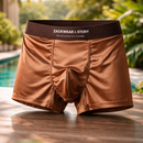 [Llevá 10 y Pagá 5] Bóxer Masculino Imperial Antiolor de Seda Fría sin Costura (¡Confort y Frescura!)